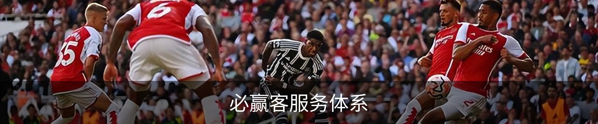必赢客服务体系